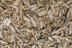 biomass boilers Pyewipe